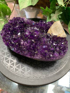 AA Grade Quality Amethyst Geode with Calcite