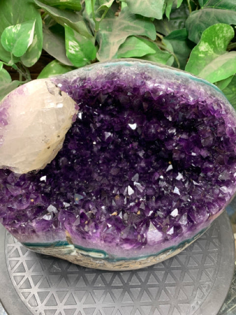 AAA Grade Quality Amethyst Geode with Calcite